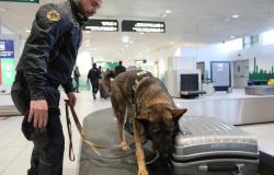 Une arme dans le bagage à main, l’aéroport de Bologne détraqué pendant plus d’une heure. Mais l’alarme s’avère infondée
