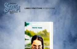 European Witch Award 2024 : « Triste tigre » de Neige Sinno remporte