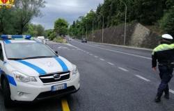 Contrôles des camions aux carrefours et sur les berges à Trieste : 15 infractions contestées par la police locale