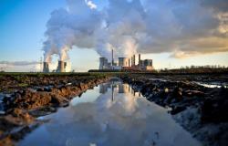Elections européennes, WWF : l’Italie et d’autres États financent à coups de milliards des activités nuisibles à l’environnement
