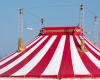 Tragédie au cirque après la mort de la trapéziste qui se produisait avec son mari en Chine : la chute a été fatale