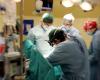 A Padoue, une transplantation cardiaque arrêtée en 20 minutes