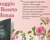 Il Cittadino 125° : Mai et la roseraie de Monza, livre de Bellavite col Cittadino