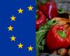 C’est pourquoi il est faux de prétendre que «l’Union européenne est contre la nourriture italienne et le régime méditerranéen»