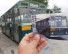 TPL Linea, le chauffeur qui restaure les vieux bus : nouveau projet pour Savona