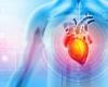 Les cardiopathies arythmogènes, un nouvel espoir de guérison grâce à la thérapie génique