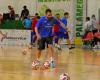 Futsal : Italservice Pesaro, avant-dernier match régulier à Viterbe. Objectif des séries éliminatoires – Actualités sportives – CentroPagina