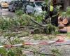 Dégâts dus aux intempéries à Palerme, un arbre s’effondre via Eugenio l’Emiro
