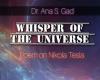« Whisper of the Universe » publié par Ukiyoto Publishing – Italianewsmedia.it – PC Lava – Magazine Alessandria aujourd’hui
