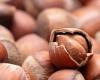 Chaîne d’approvisionnement en noix de coco, innovation et stratégies pour l’avenir à Cherasco (Cuneo) – Agenfood