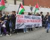 Les collectifs étudiants pro-palestiniens devant les studios La7 : “Parenzo, montons”