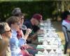 Les vins héroïques sont célébrés dans le Piémont : “Les vins jusqu’au sommet” revient les 4 et 5 mai – Newsfood – Nutrimento e Nutrimente