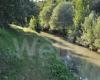 Vitali (PdF) : « Rive droite du fleuve Senio, une situation inacceptable »