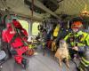 L’unité de chiens de pompiers et les secouristes en hélicoptère s’entraînent au Campo dei Fiori