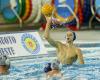 Playoffs de la Coupe de l’Euro : Water Polo Trieste-De Akker Bologne 10-13 – WATERPOLO PEOPLE