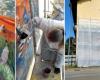 Vergiate Impressionista: une nouvelle fresque murale arrive à Corgeno. Ce sera un Renoir