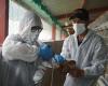 La grippe aviaire pourrait être la prochaine pandémie, selon les virologues