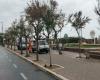 Pesaro, parking payant : pas seulement dans Viale Trieste, voici le plan des rues. Entretien : grand arbre battu