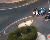 VIDEO Catane, ils heurtent un policier et s’enfuient en mobylette : images de la course-poursuite