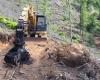 Nouvelle garnison à Velletri contre la déforestation du Monte Artemisio : le Comité de Protection des Forêts se mobilise