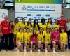 Volleyball Fipav Rovigo, belle expérience des sélections Polesine au Trophée des Territoires
