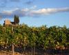 En Toscane, vignoble aux enchères pour 11 millions d’euros : données sur l’Italie