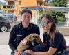 Roccapiemonte, abandonné dans la rue, un chien risque la mort sauvé par la police