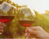 « Calicis » à la Villa Ormond à Sanremo pour célébrer la gastronomie et le vin des Alpes Maritimes et de ses environs – Targatocn.it