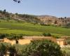 Sicilia En Primeur 2024 : Planeta présente les vins de la région de Menfi