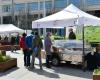 à partir du 9 mai, le Slow Food Market arrive sur la Piazza Carlo Alberto – TravelEat