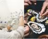 Six personnes intoxiquées après un déjeuner en bord de mer : les huîtres en ligne de mire