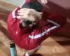 Djokovic touché par une bouteille d’eau, la vidéo de l’accident aux Internationaux italiens