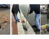 Andria : les citoyens obligés de nettoyer les rues de ceux qui tirent des « barils » et laissent des déchets. Appel de Montepulciano à intensifier les contrôles et les sanctions pour protéger les familles qui trient les déchets