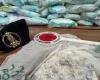 GDF ROME * DROGUES : « DEUX COURRIERS ARRÊTÉS AU PORT DE CIVITAVECCHIA, 340 KG DE DROGUES SAISIES »