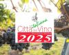 La Grande Alliance entre 8 communes des Castelli Romani pour devenir « Ville italienne du vin 2025 »