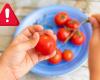 Plus de 100 enfants empoisonnés après avoir mangé des tomates cerises à l’école (fournies par le ministère)
