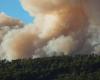 Incendies de forêts et mobilisation des CDD de l’ARIF, le M5S demande des auditions à la Commission de l’Agriculture