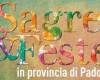 Fêtes et célébrations dans la province de Padoue : les événements du week-end du 10 au 12 mai 2024 et spécial “Fête des Mères”
