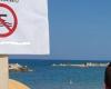 Mer, voici les zones de la côte avec interdiction de baignade – Pescara