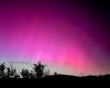 Nuit Rose, les aurores boréales colorent le ciel de Livourne – Livornopress