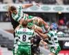 Rugby Urb, victoire historique de Benetton Treviso 25-24 à Durban contre les Sharks