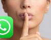 WhatsApp, découvrez les 3 applications externes pour espionner et bien plus encore