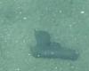 Salerne, arme abandonnée en mer récupérée : une enquête est en cours