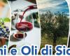 « Vins et huiles de Sicile », à Trapani AIS Sicilia promeut la culture et l’histoire des deux symboles méditerranéens. • Première page