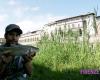 Les poissons d’antan reviennent dans l’Arno florentin :: Reportage à Florence