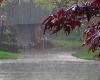 Fortes pluies dimanche soir, perturbations limitées à Moncalieri – Torino Oggi