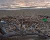 Plage sans déchets’, deux jours pour nettoyer la côte à San Pietro Lametino