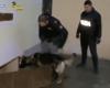 opération conjointe, 142 personnes enquêtées pour association de type ‘Ndrangheta (VIDEO)