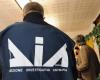 ‘Ndrangheta et drogue, 142 personnes enquêtées à Cosenza : maxi-opération contre le “clan italien”