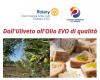 RENDE (CS) – La réunion publique du Rotary “De l’oliveraie à l’huile d’olive extra vierge de qualité”